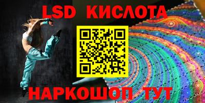 крисы Кингисепп