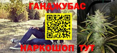 крисы Кингисепп