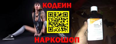 крисы Кингисепп