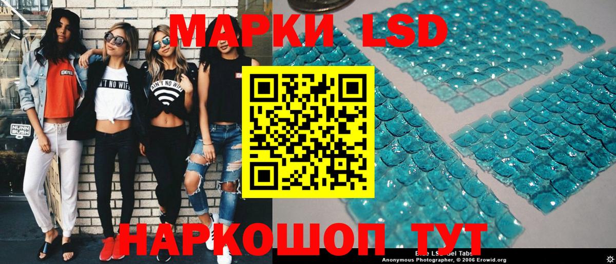 МЕФ Кудрово